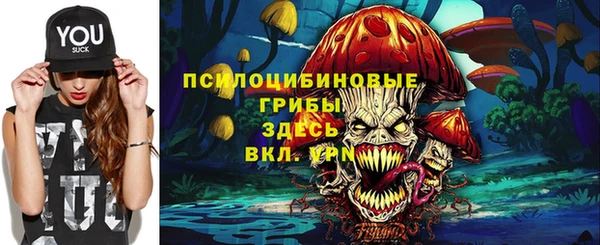 эйфоретик Балахна