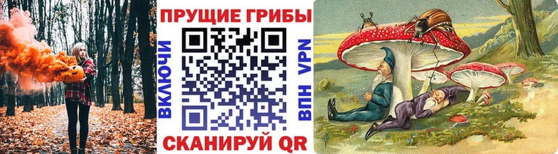 где купить   Венёв  Псилоцибиновые грибы мицелий 